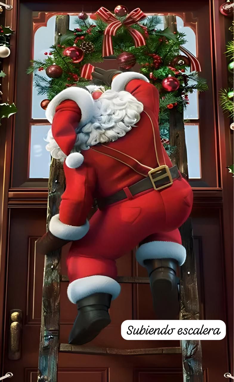 Funda Navideña para Puerta - Dale vida a tu entrada!