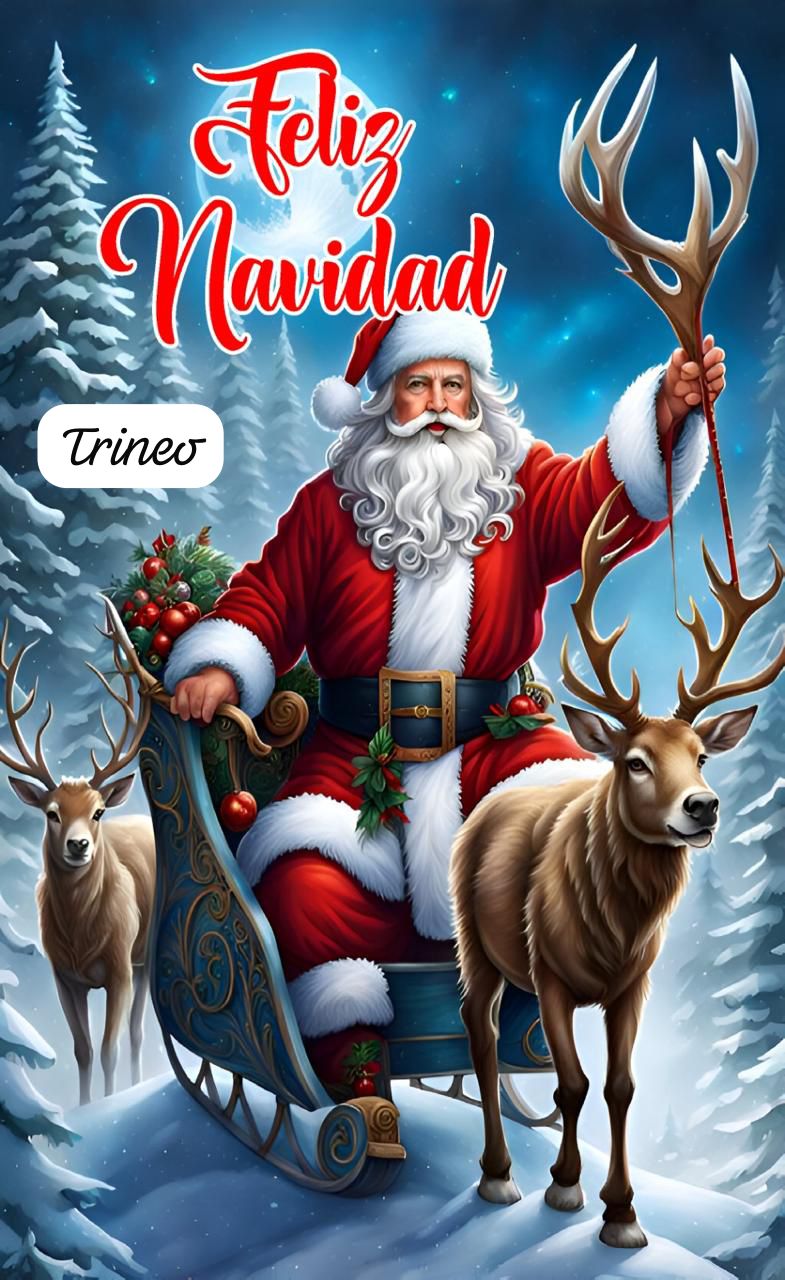 Funda Navideña para Puerta - Dale vida a tu entrada!